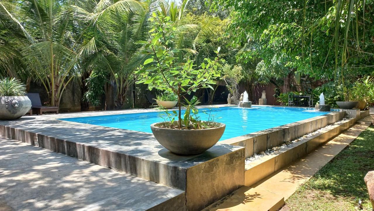 My Village Bed & Breakfast Tissamaharama
