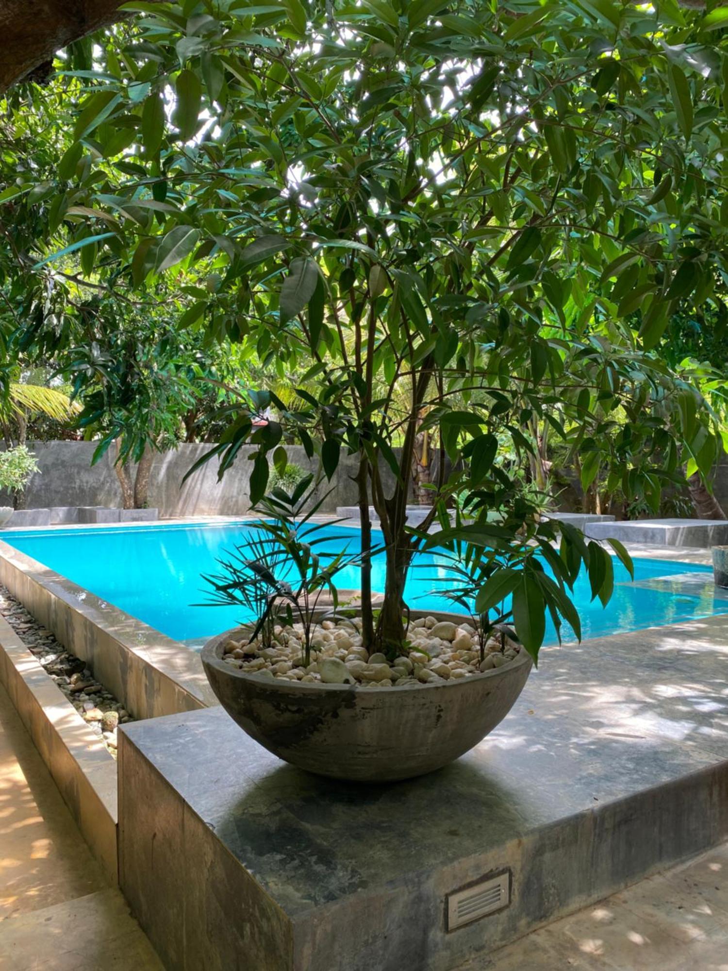 Bed & Breakfast My Village Tissamaharama